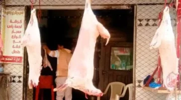 تحديثات الأسعار.. تكلفة شراء كيلو اللحوم في أسواق كفر الشيخ اليوم الإثنين